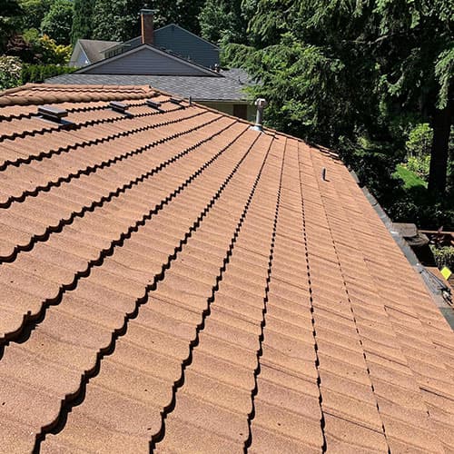 Roof Cleaning Services in Arden-Arcade CA