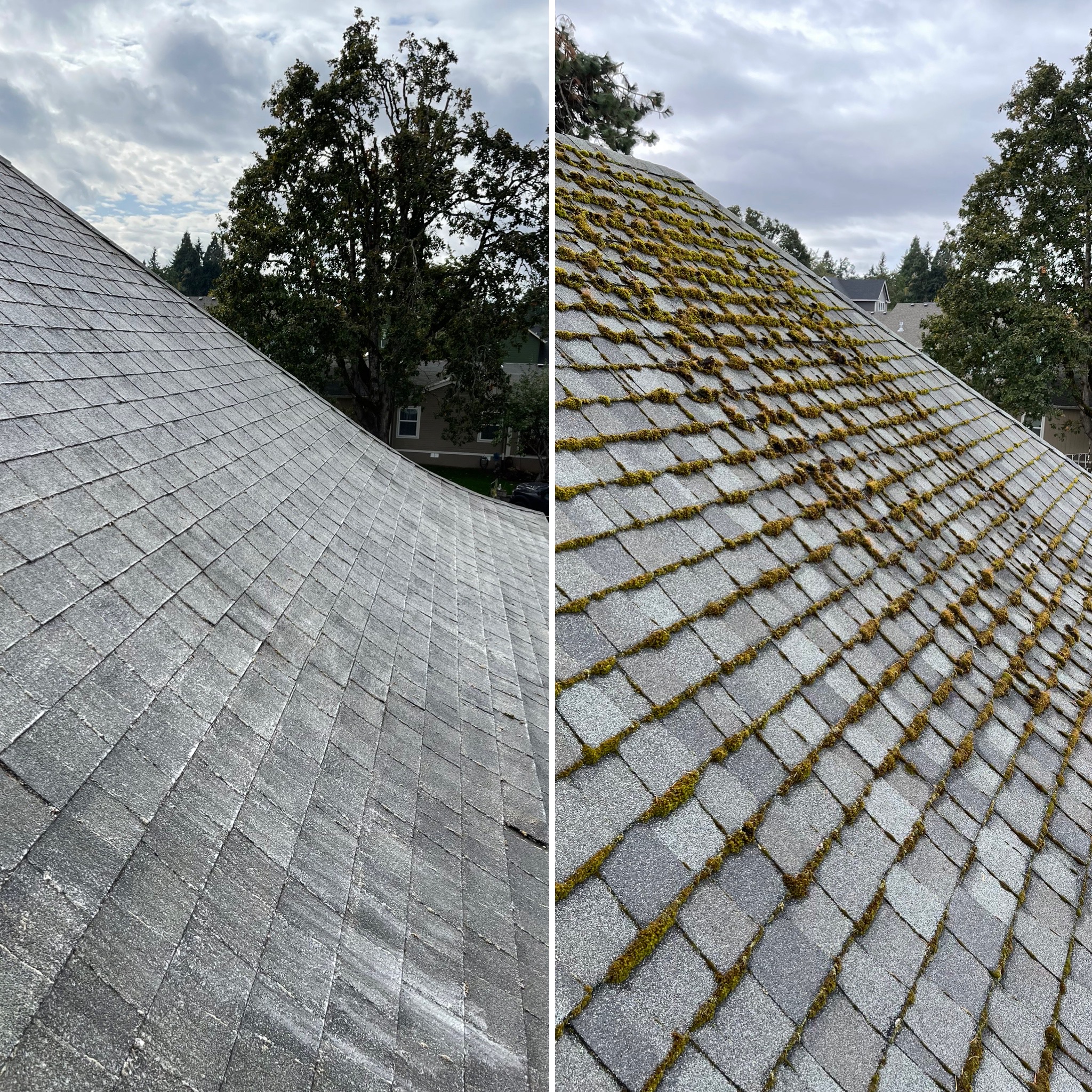 Extend The Lifetime Of Your Roof In Portland!